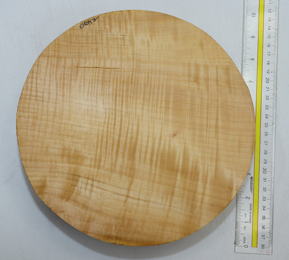 Chestnut Round 9" diameter x 2.5" (GREAT FIGURE) - Stock# 6-0647