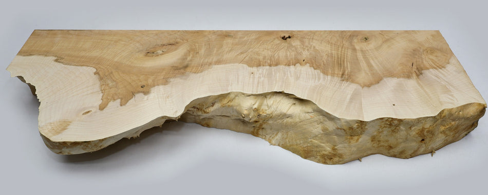 Maple Live Edge Slab 31" x 10" x 3.2" - Stock# 6-3260