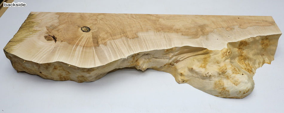 Maple Live Edge Slab 31" x 10" x 3.2" - Stock# 6-3260