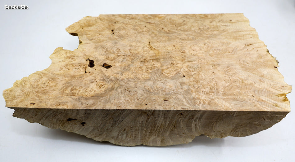 Maple Burl Cap 18" x 11" x 4.5" (PREMIUM FIGURE) - Stock# 6-3529