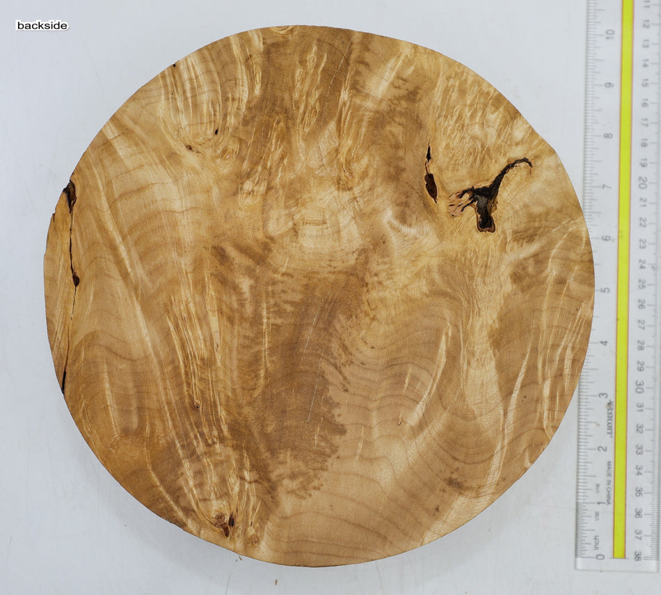 Maple Burl Round 9" diameter x 2.5" - Stock# 6-4289