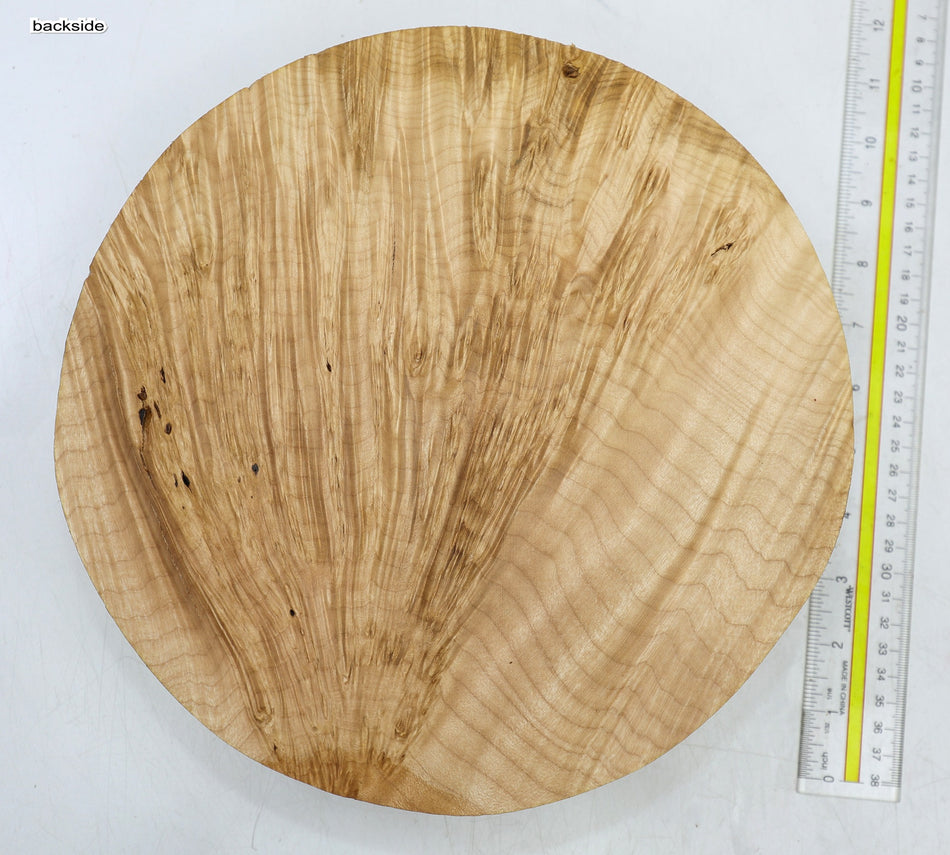 Maple Burl Round 10.5" diameter x 2.6" (GREAT FIGURE) - Stock# 6-4660