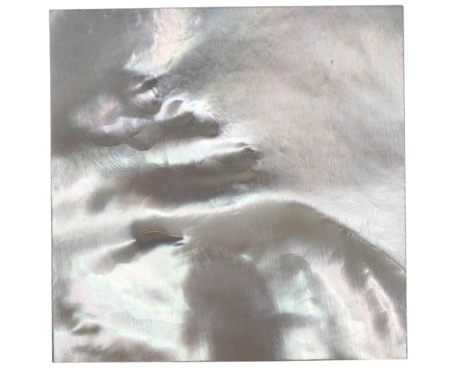 Mother of Pearl Square piece 40 * 40 * 1.5 mm (White)