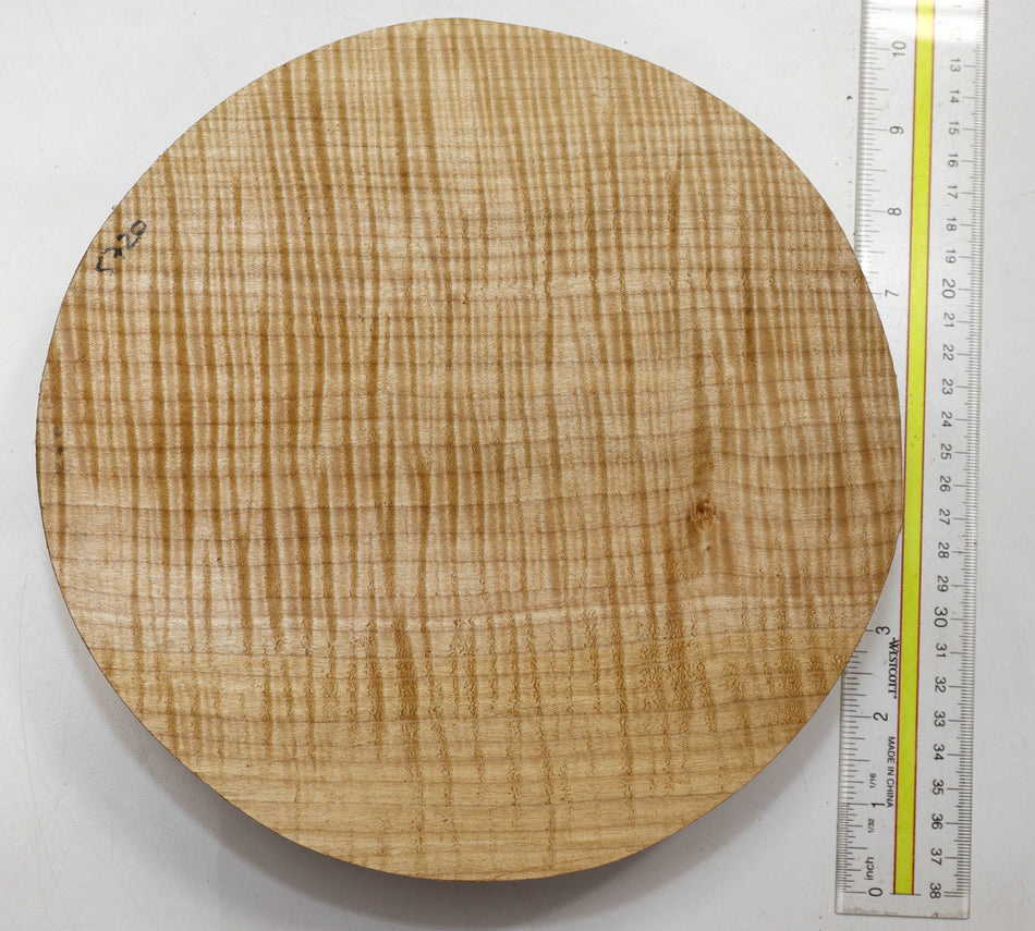 Maple Flame Round 9" diameter x 2.3" (5★ HIGHLY FIGURED) - Stock# 5-5719