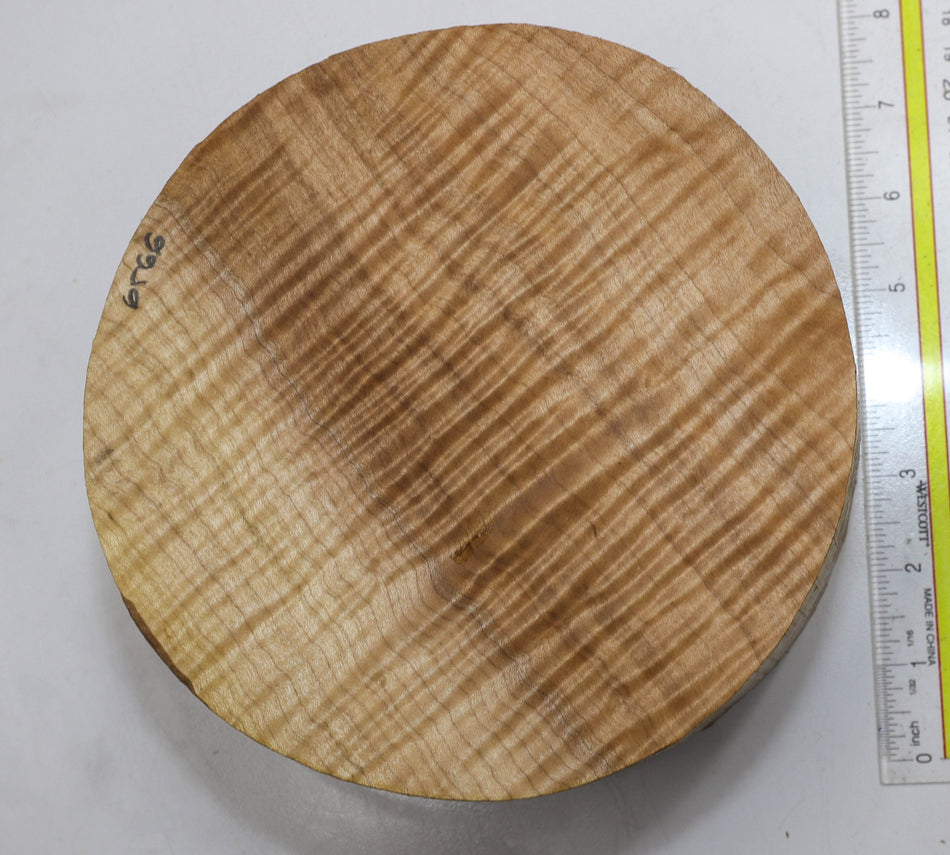 Maple Flame Round 7" diameter x 4" (HIGH FIGURE) - Stock# 6-4196