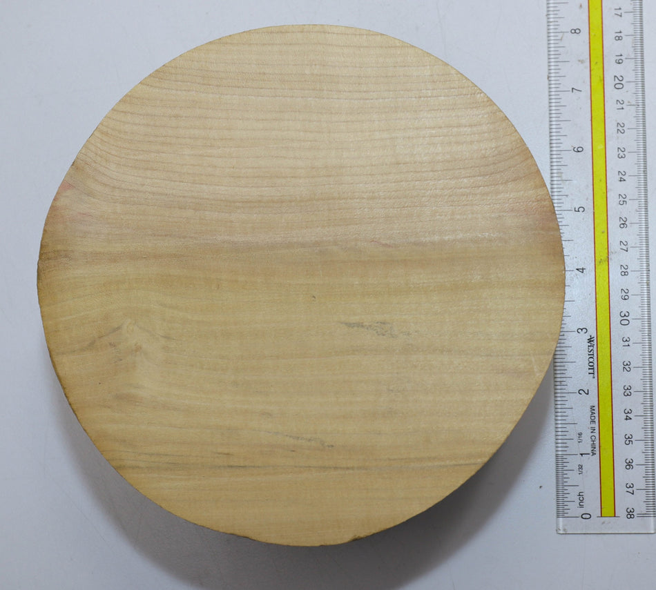 Magnolia Round 7" diameter x 4.2" - Stock# 5-6843