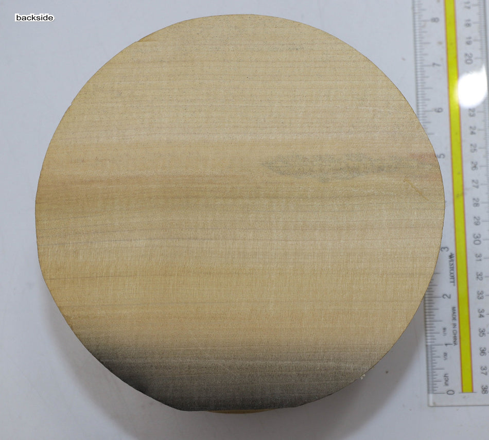 Magnolia Round 7" diameter x 4.2" - Stock# 5-6843