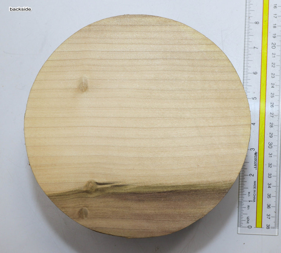 Magnolia Round 7" diameter x 4.6" - Stock# 5-7353
