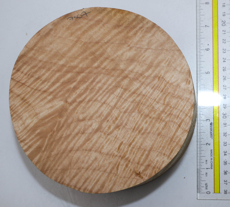 Maple Flame Round 7" diameter x 2.8" (HIGHLY FIGURED) - Stock# 5-7507