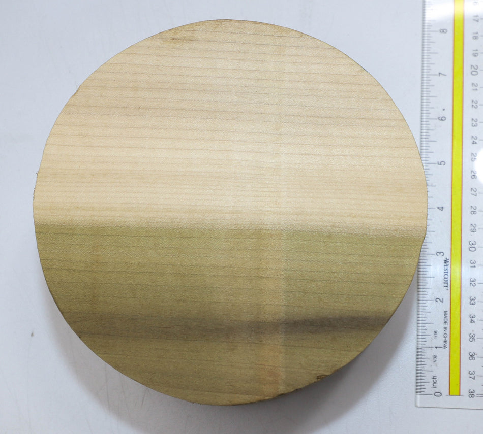Magnolia Round 7" diameter x 4" - Stock# 5-7542
