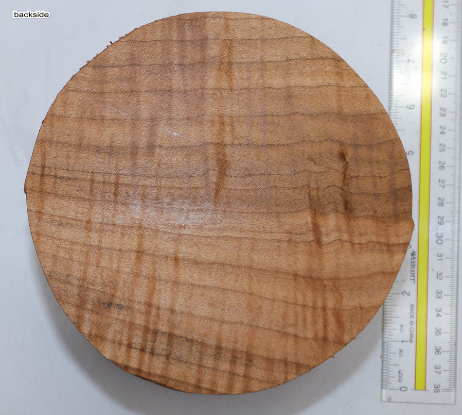 Maple Flame Round 7" diameter x 3.4" (GREAT FIGURE) - Stock# 5-7814
