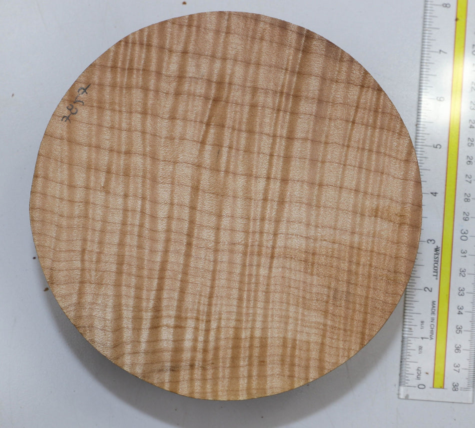 Maple Flame Round 7" diameter x 3" (HIGH FIGURE) - Stock# 5-7857