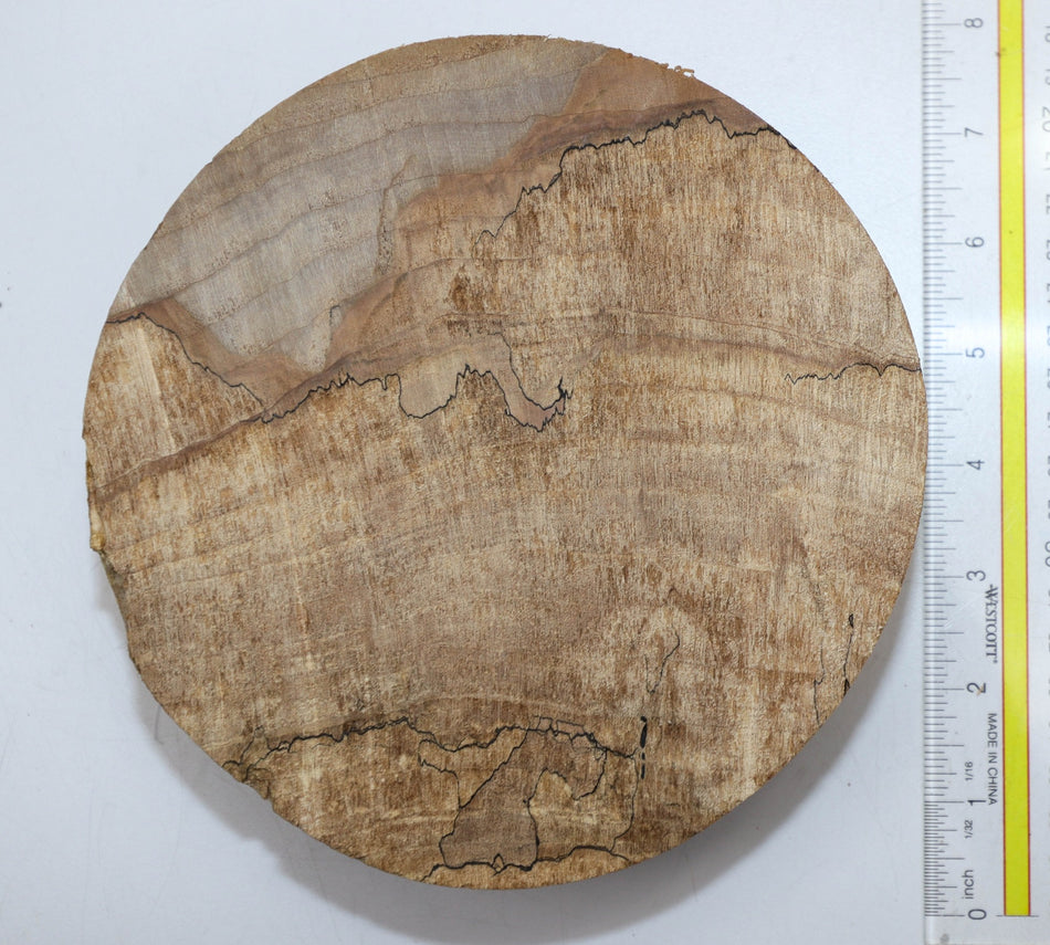 Spalted Maple Round 7" diameter x 2.2" (HIGH FIGURE) - Stock# 5-7914