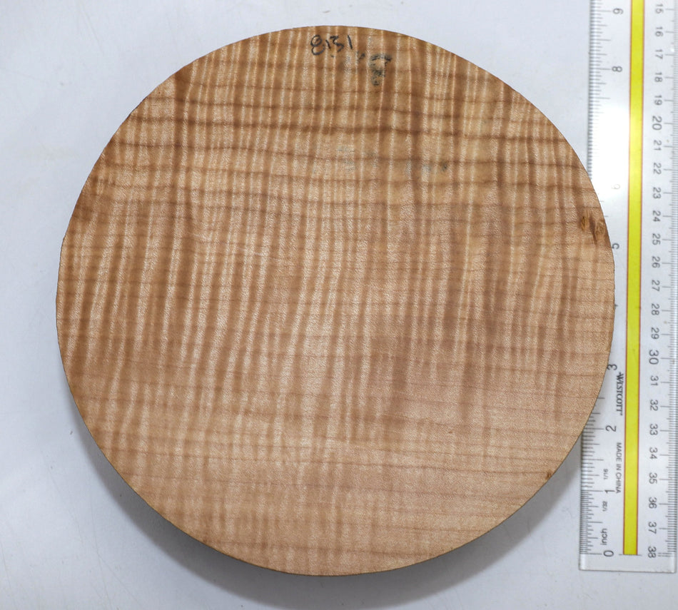 Maple Flame Round 8" diameter x 2.5" (PREMUM FIGURE) - Stock# 5-8131