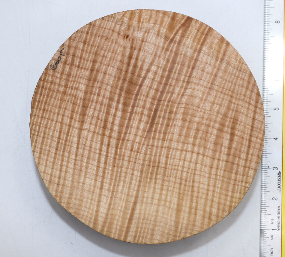 Maple Flame Round 7" diameter x 2.15" (PREMIUM FIGURE) - Stock# 5-8605