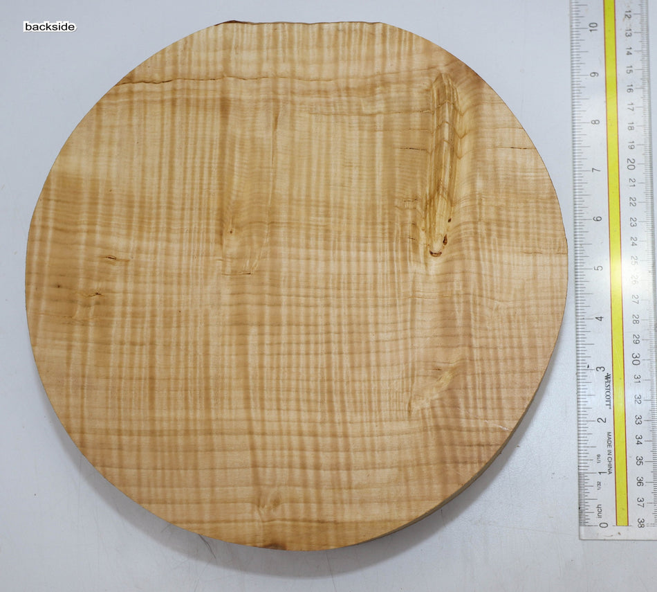 Chestnut Round 10" diameter x 2.5" (GREAT FIGURE) - Stock# 5-8855