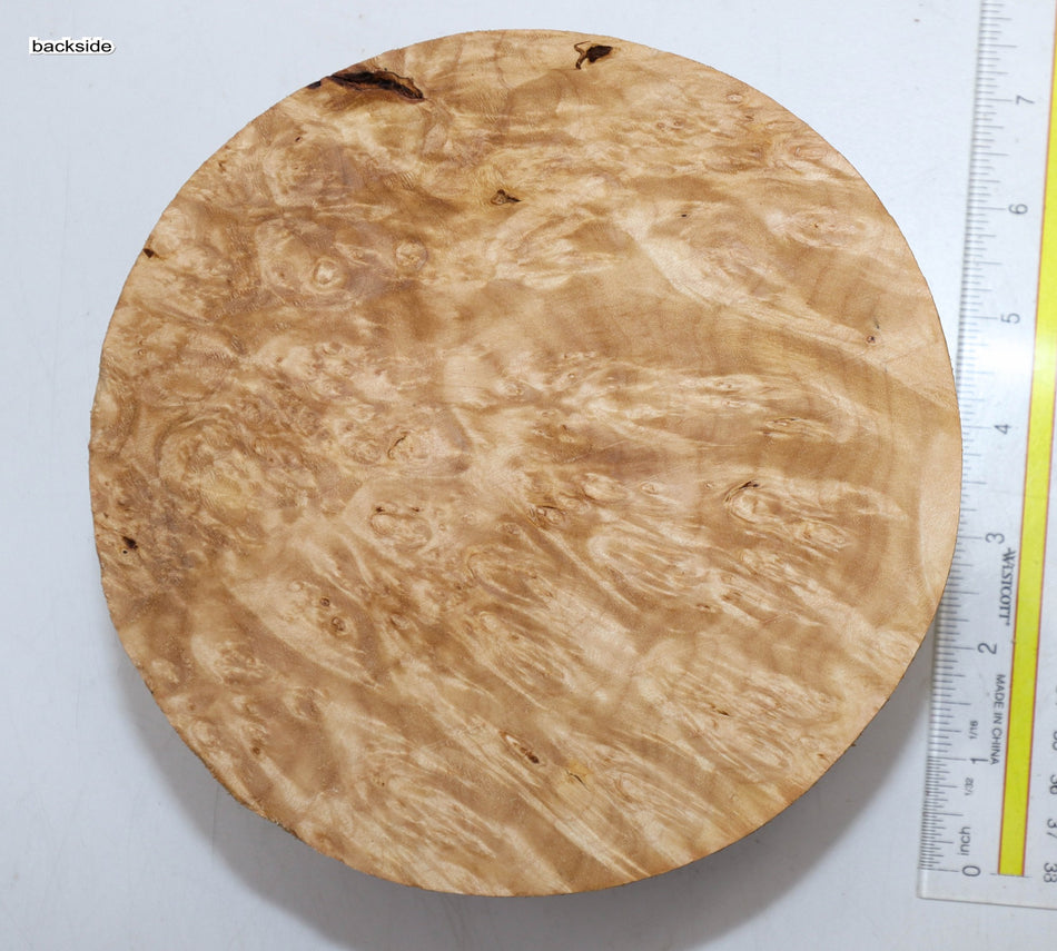Maple Burl Round 7" diameter x 3.25" (HIGH FIGURE) - Stock# 5-9186