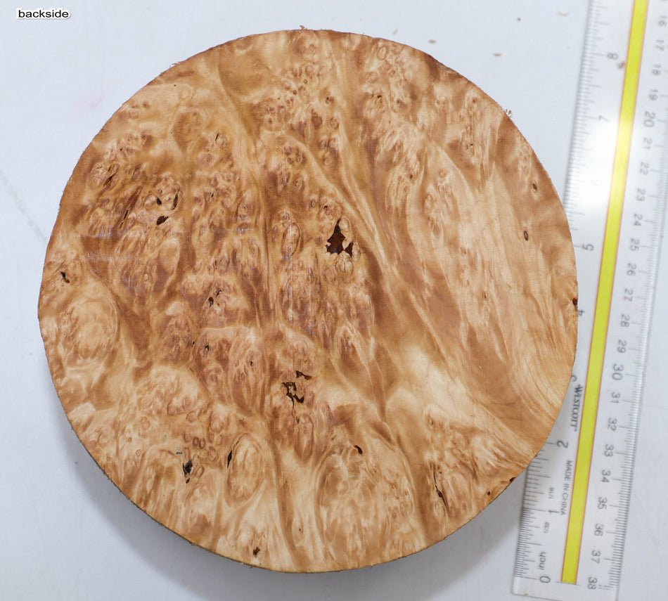 Maple Burl Round 7" diameter x 3.2" (PREMIUM FIGURE) - Stock# 5-9412