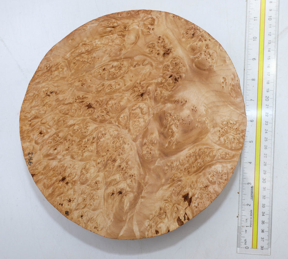 Maple Burl Round 10" diameter x 3.2" (PREMIUM FIGURE) - Stock# 5-9413