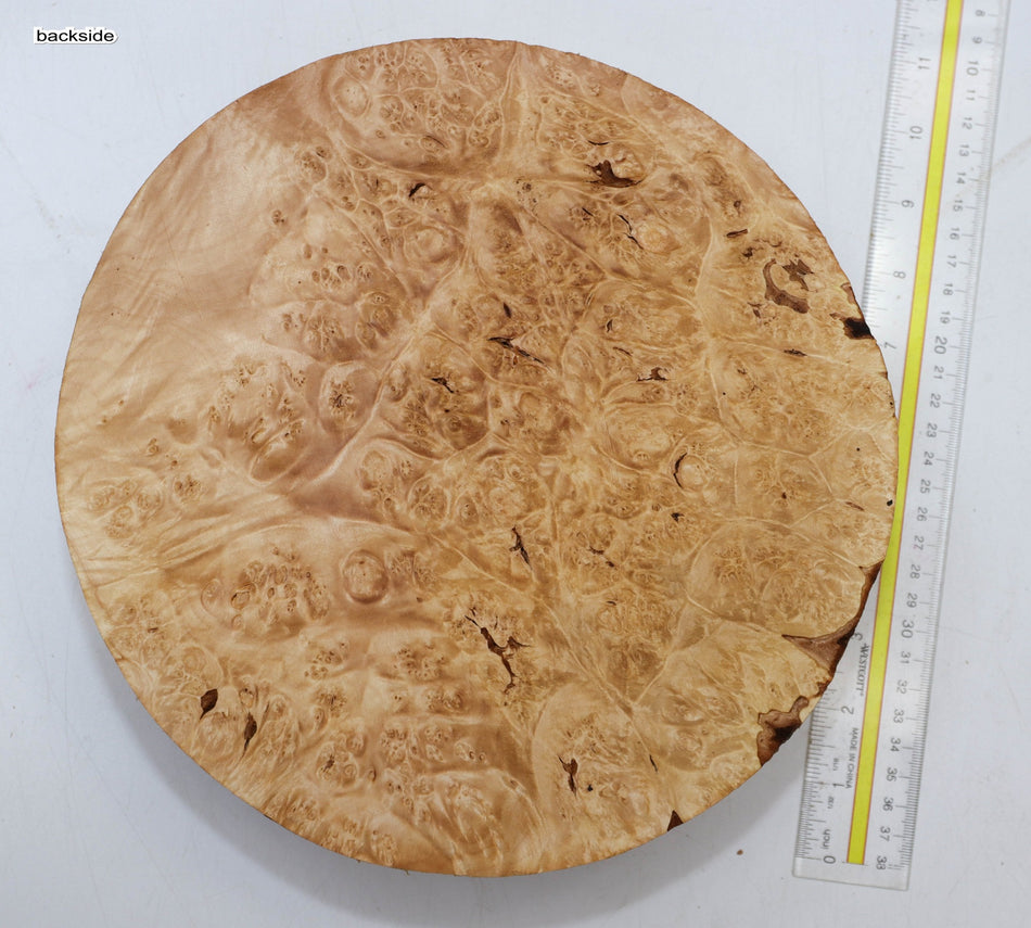 Maple Burl Round 10" diameter x 3.2" (PREMIUM FIGURE) - Stock# 5-9413