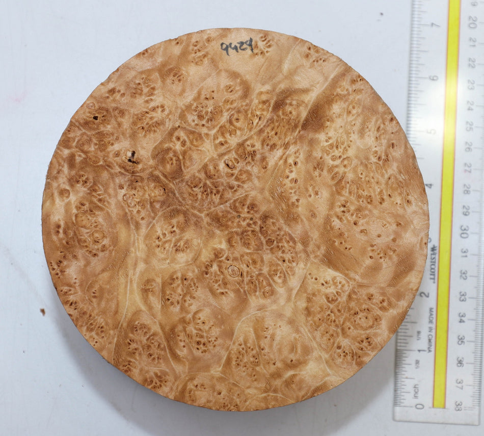 Maple Burl Round 6" diameter x 3.2" (PREMIUM FIGURE) - Stock# 5-9430