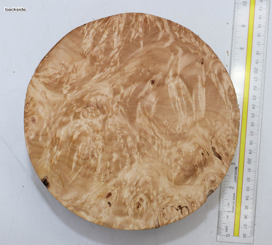 Maple Burl Round 8" diameter x 3.25" (PREMIUM FIGURE) - Stock# 5-9431