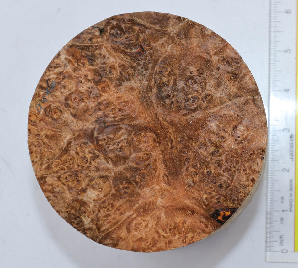 Maple Burl Round 5" diameter x 3.5" (PREMIUM FIGURE) - Stock# 5-9446