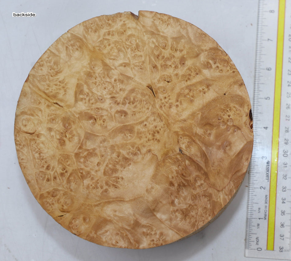 Maple Burl Round 7" diameter x 3.3" (PREMIUM FIGURE) - Stock# 5-9476