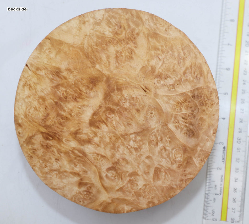 Maple Burl Round 7" diameter x 3.2" (PREMIUM FIGURE) - Stock# 5-9485