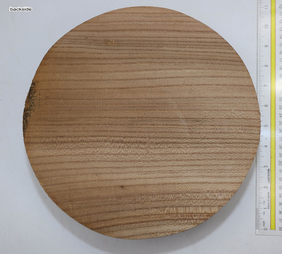 Red Elm Round 10" diameter x 3.5" - Stock# 5-9709