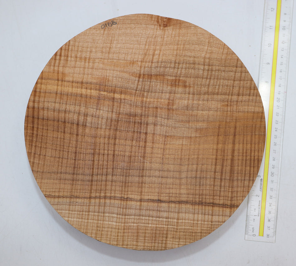 Maple Flame Round 11" diameter x 2.8" (HIGH FIGURE) - Stock# 6-0188