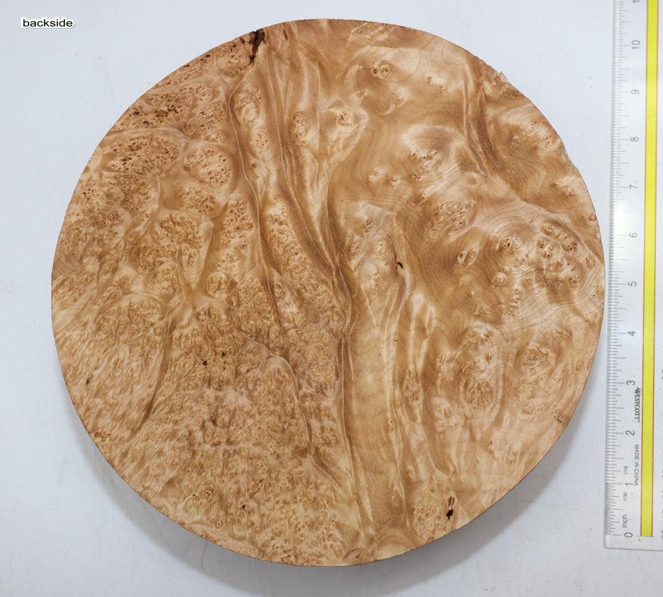 Spalted Maple Burl Round 10" diameter x 3" (HIGH FIGURE) - Stock# 6-0369