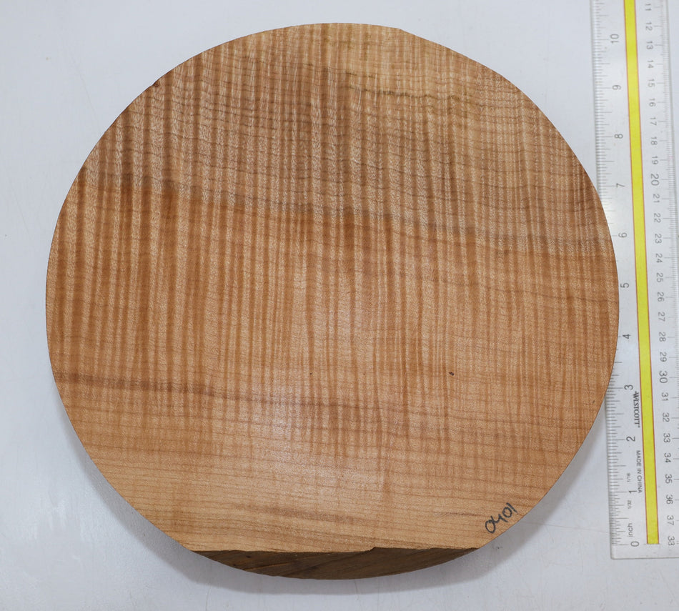 Maple Flame Round 10" diameter x 2.7" - Stock# 6-0401