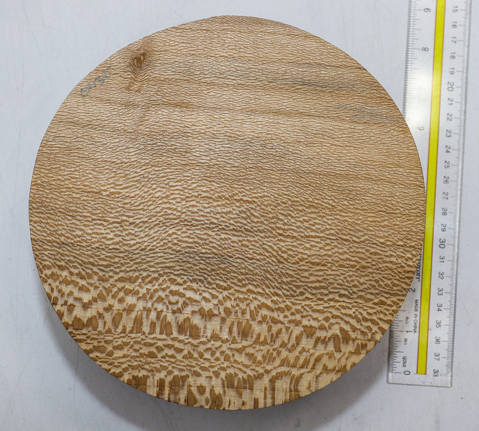 London Plane Round 8" diameter x 4" (FIGURED) - Stock# 6-0435