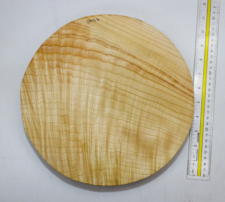 White Ash Round 11" diameter x 2" (FIGURED) - Stock# 6-0437