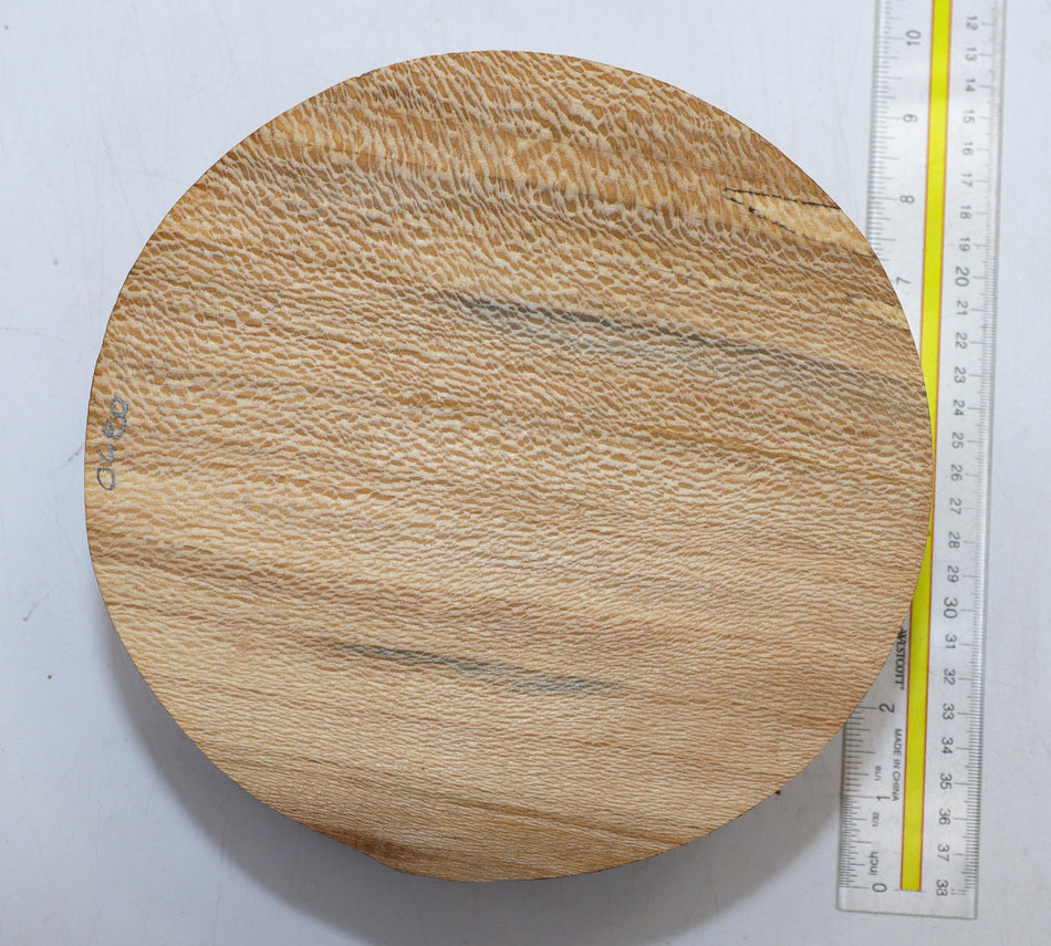 London Plane Round 8" diameter x 4" (FIGURED) - Stock# 6-0505