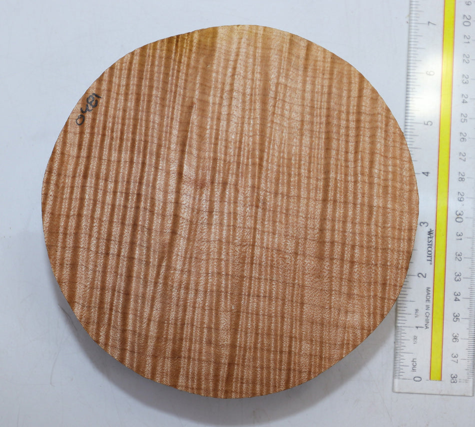 Maple Flame Round 6.5" diameter x 2.2" (PREMIUM FIGURE) - Stock# 6-0506