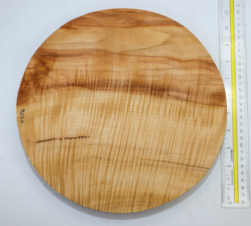 Chestnut Round 11" diameter x 1.82" (GREAT FIGURE) - Stock# 6-0536