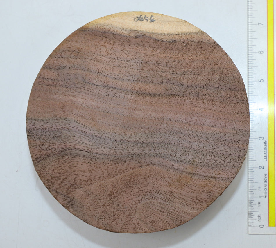 Walnut (Black) Round 7" diameter x 2.5" - Stock# 6-0646