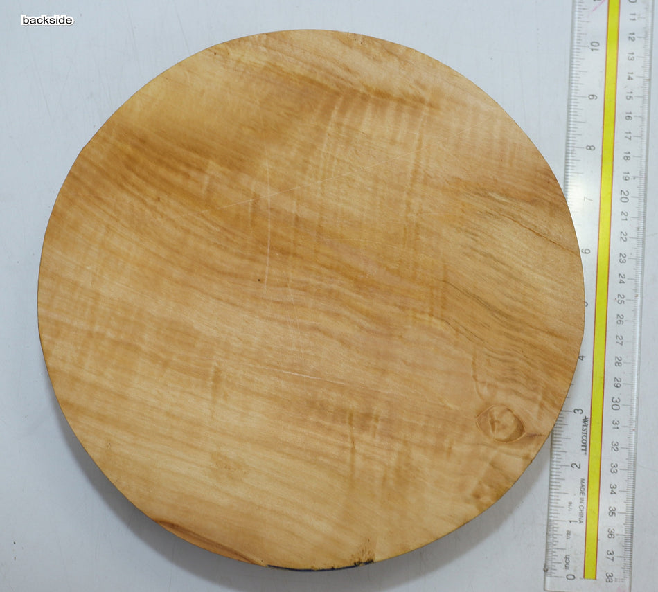 Chestnut Round 9" diameter x 2.5" (GREAT FIGURE) - Stock# 6-0647