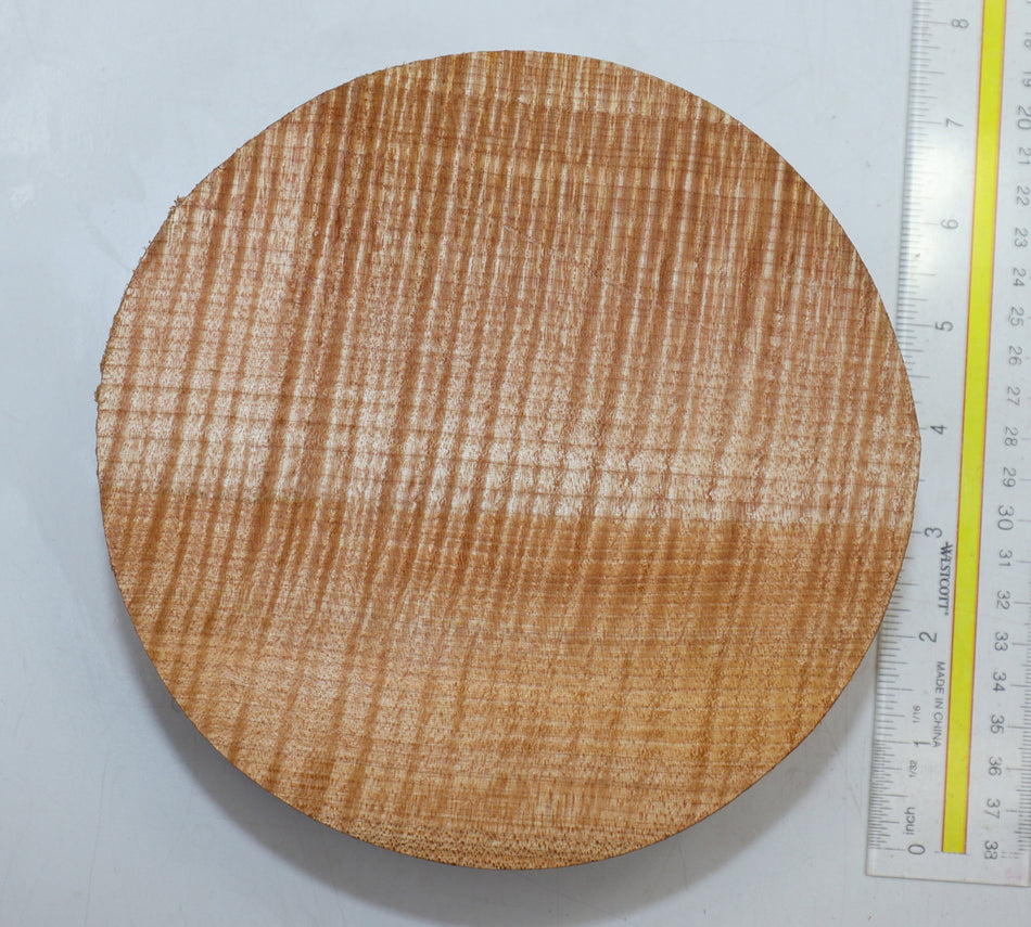 Maple Flame Round 7" diameter x 2.5" (PREMIUM FIGURE) - Stock# 6-0648