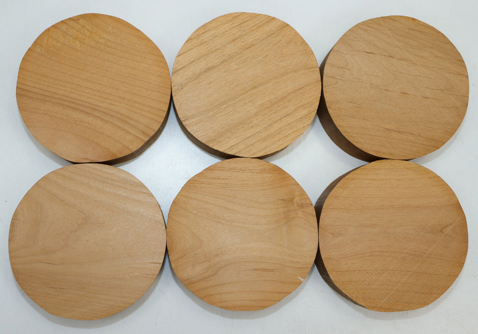 Alder Rounds 6 pieces 6" diameter x 2" - Stock# 6-0677