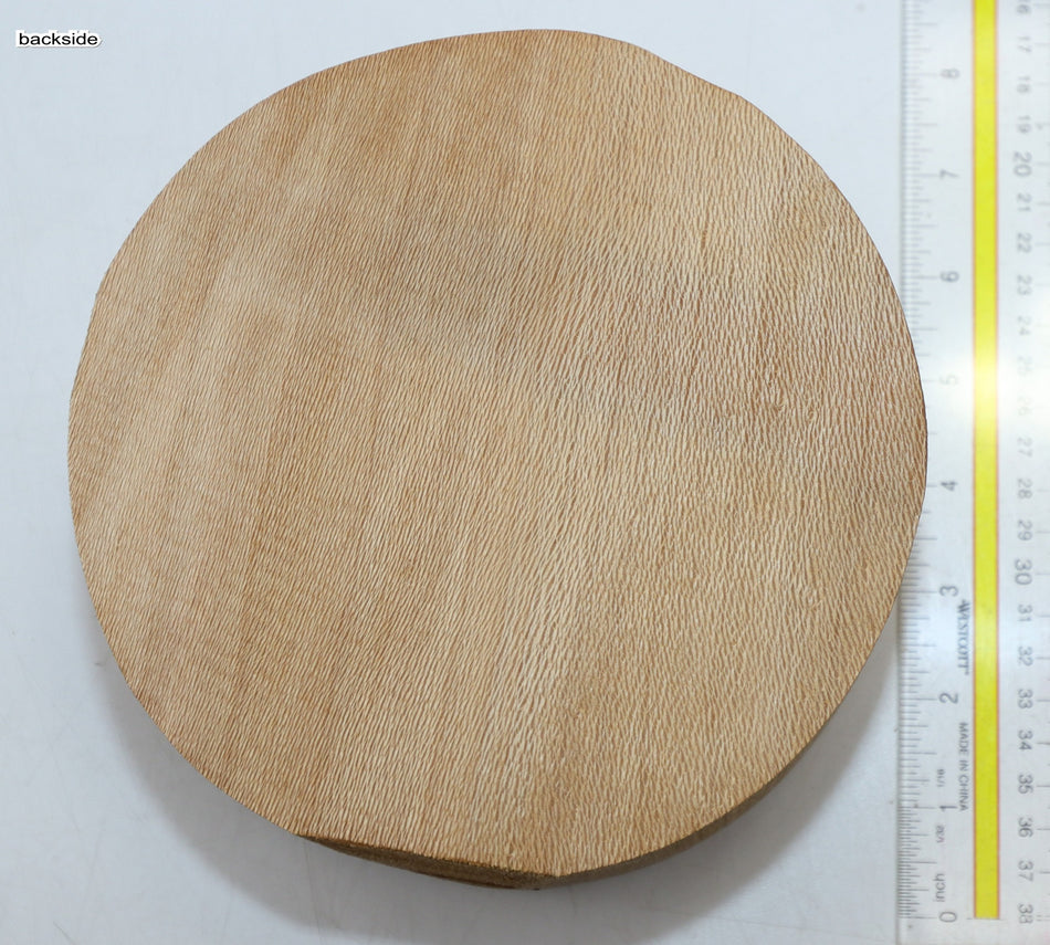 London Plane Round 7" diameter x 3.75" (GREAT FIGURE) - Stock# 6-0768