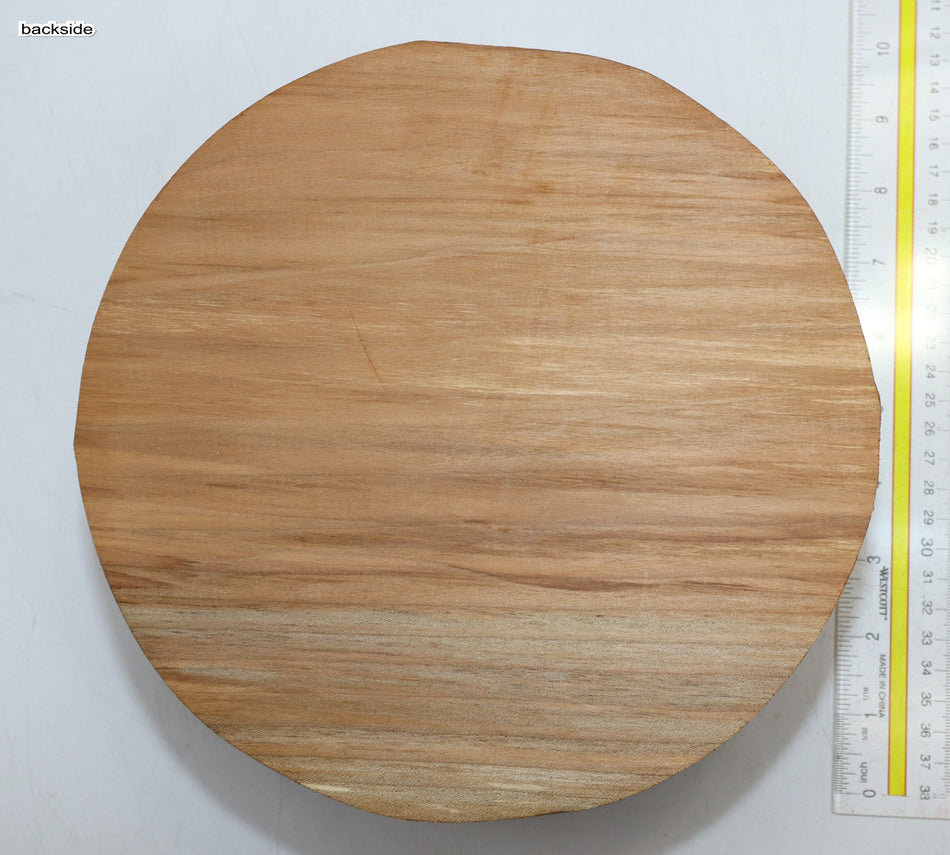 Maple Round 8.75" diameter x 4" - Stock# 6-0813