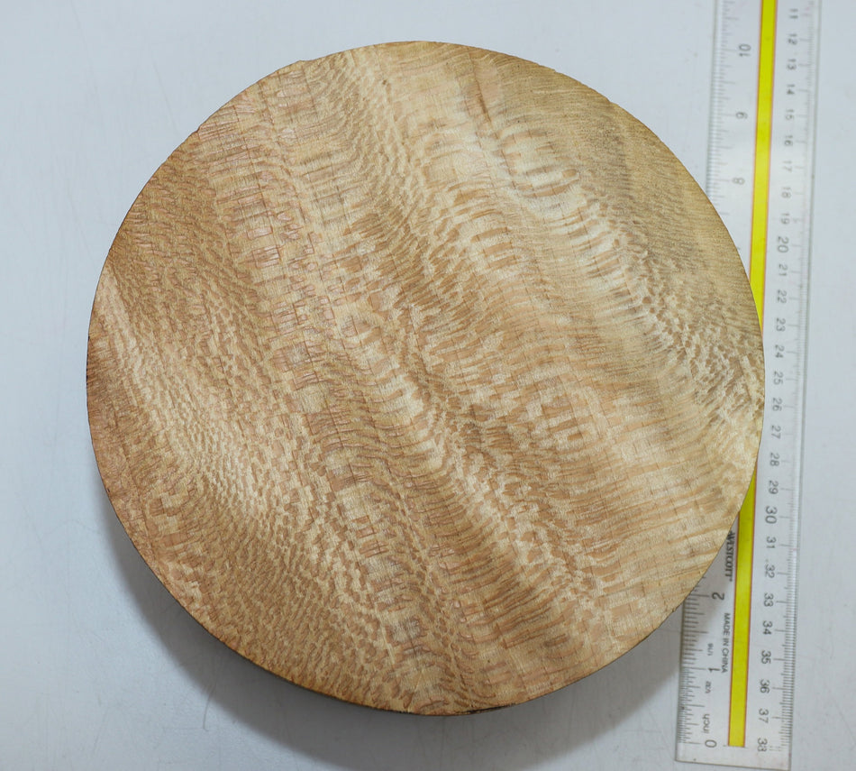 London Plane Round 7.75" diameter x 4" (HIGH FIGURE) - Stock# 6-0814