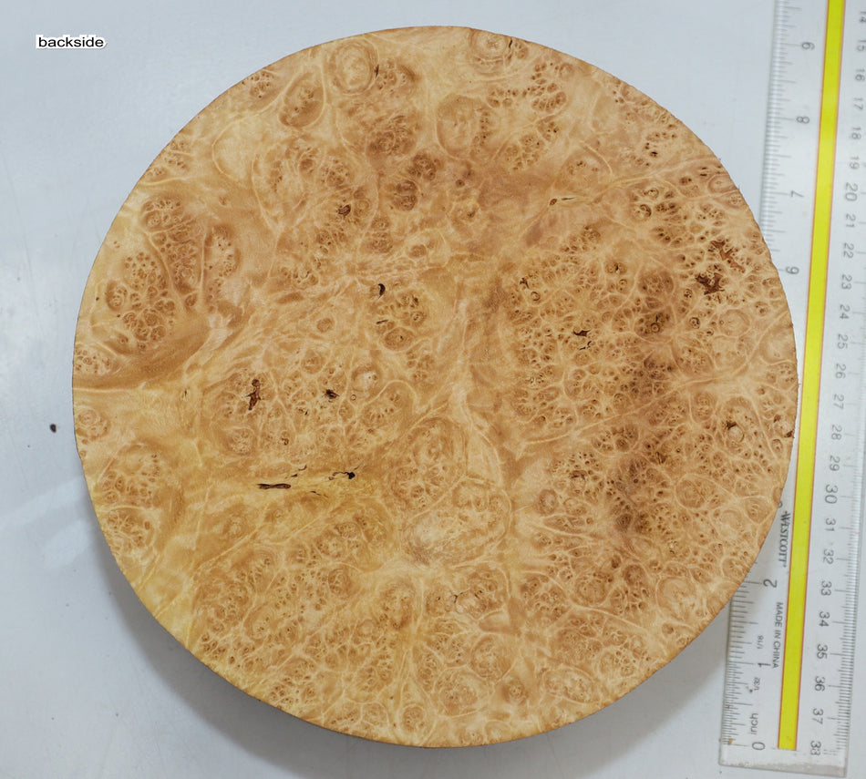 Maple Burl Round 8" diameter x 3.2" (PREMIUM FIGURE) - Stock# 6-0817