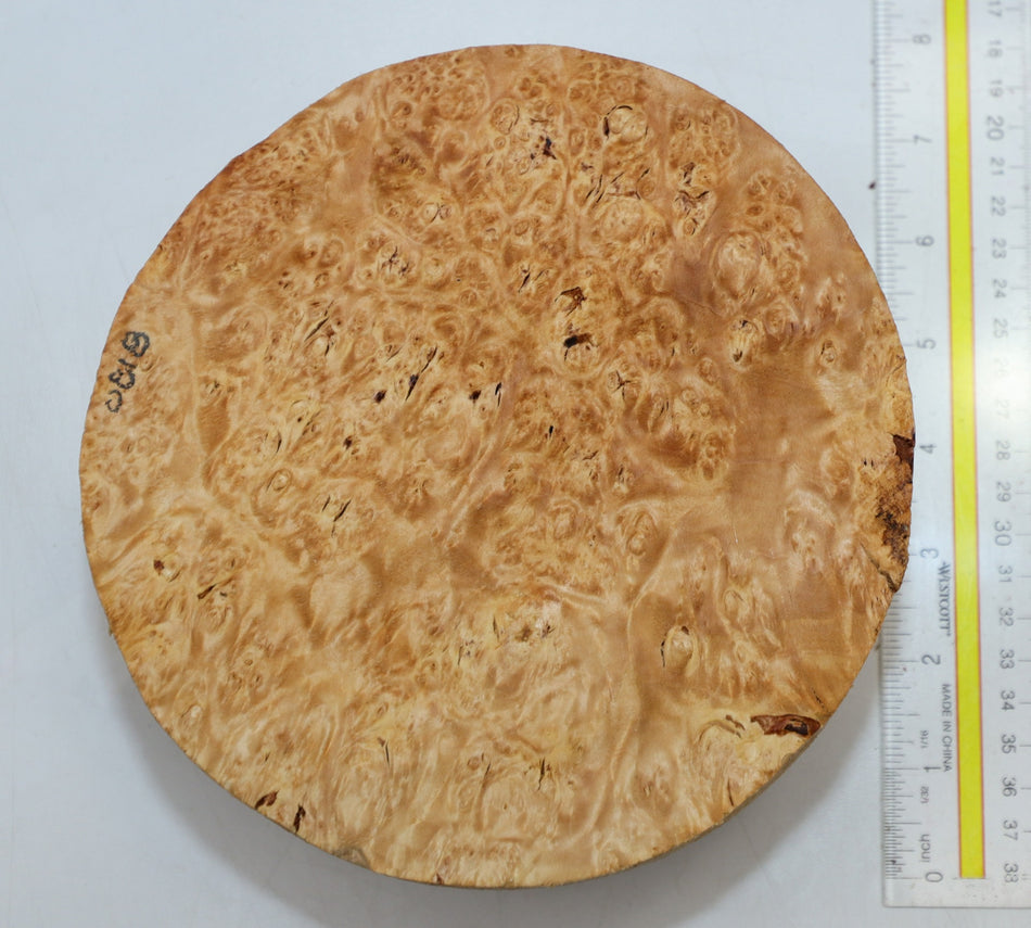 Maple Burl Round 6.75" diameter x 3.3" (PREMIUM FIGURE) - Stock# 6-0818