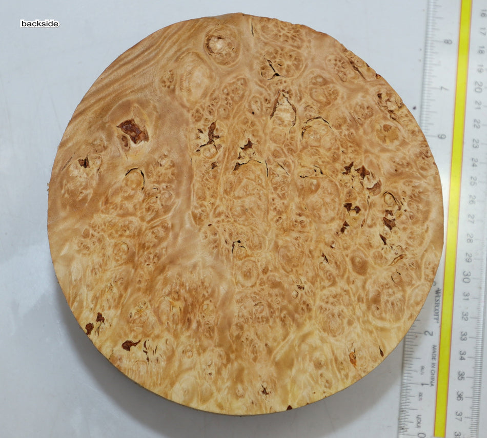 Maple Burl Round 6.75" diameter x 3.3" (PREMIUM FIGURE) - Stock# 6-0818