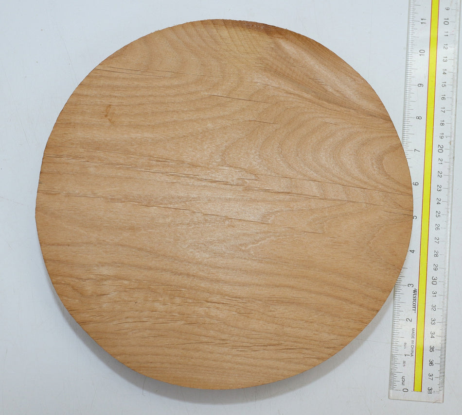 Alder Round 10" diameter x 1.88" - Stock# 6-0836