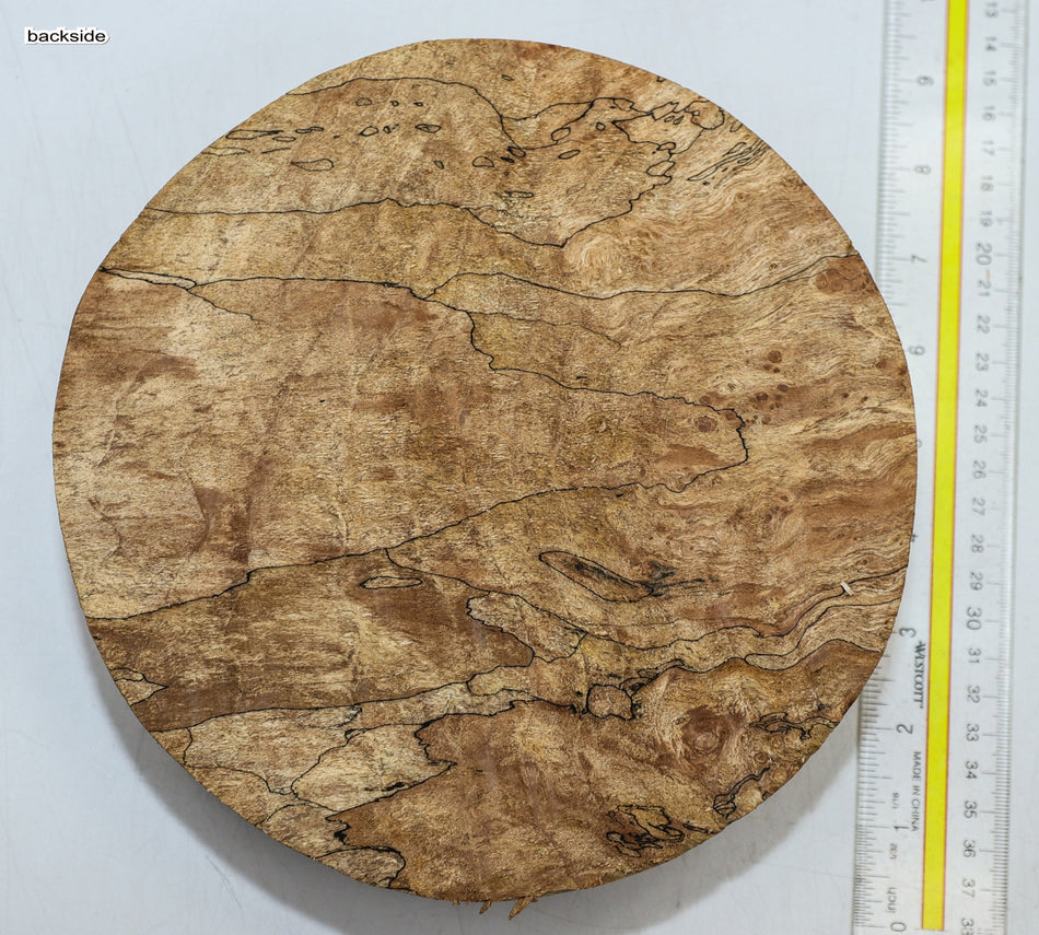 London Plane Round 8" diameter x 3.6" (GREAT FIGURE) - Stock# 6-0838